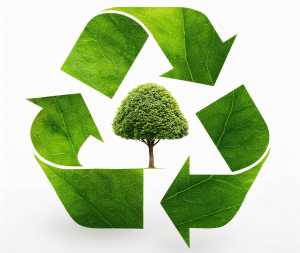 Waste Management 